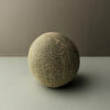 Melon - Image 6
