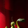 Red Green II - Image 3