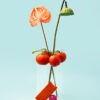 Tomato heaven - Image 4