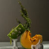 Meet pumpkin love - Image 3