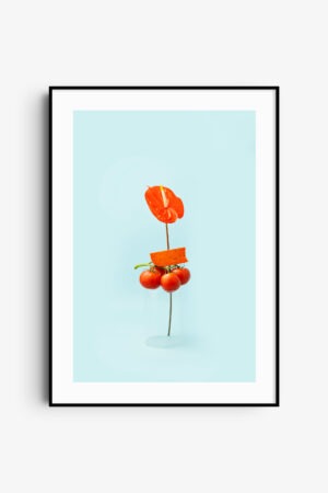 Tomato funk