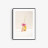 Flower -new way to grow - Image 2