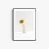 Gray flower  awakening - Image 2