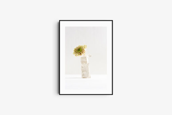 Gray flower  awakening
