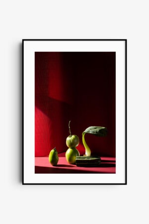 Red Green II