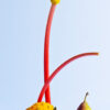 Whimsical Balance" – Fine Art Print - Image 3