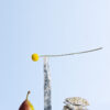 "Light Equilibrium" — Fine Art Print - Image 3
