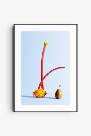 Whimsical Balance" – Fine Art Print
