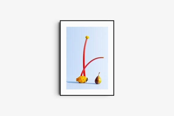Whimsical Balance" – Fine Art Print