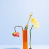 Bloom and Bite - Image 4