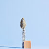 "The Watcher" – Fine Art Print - Image 3