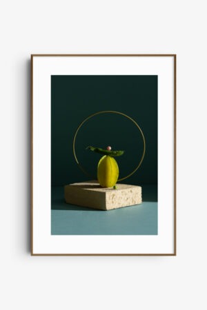 Stellar Balance still art