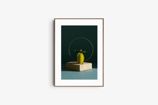Stellar Balance still art
