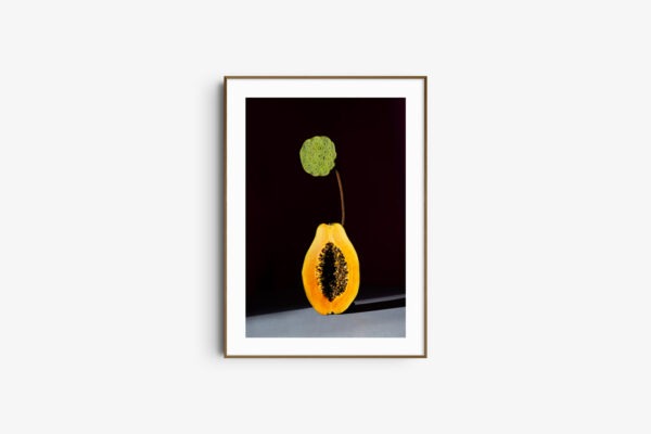 Papaya Lotus Groove