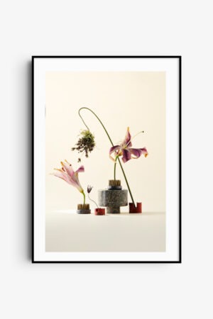 A Living Architectural Still Life