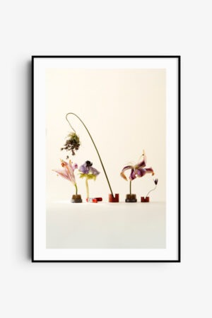 The Rhythmic Botanist